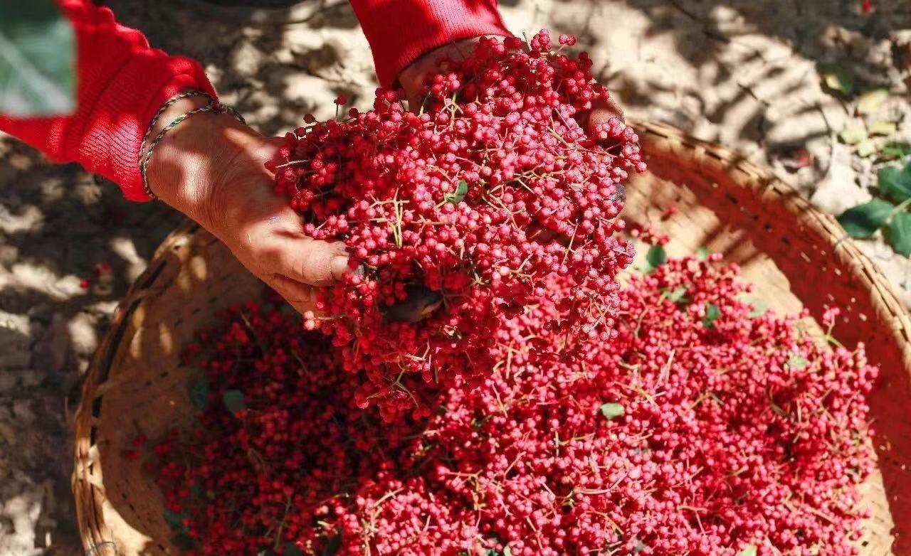 “国际庄”的名号, 到底是梦想还是玩笑