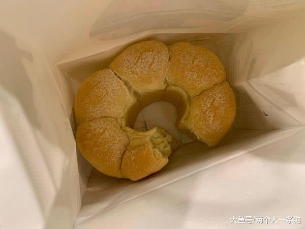 萨摩耶软糖超级迷恋奶香味, 喜提新朋友, 网友却说她像一只狐狸