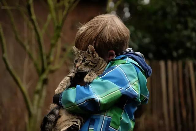 宠业简报|A股生物股份布局宠物疫苗在研猫四联、犬三联等产品;芜湖拟设立犬类收容所, 为宠物狗植入芯片