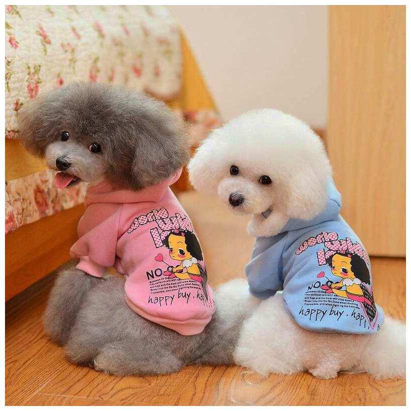 主人把狗送给民工养, 它的模样成了“垃圾般”, 主人憋不住想骂人