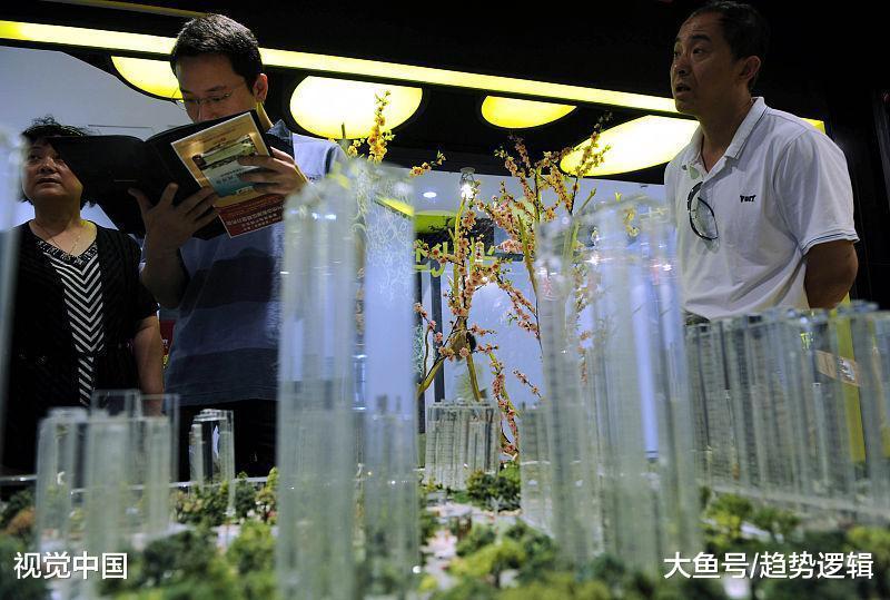 从“洼地”变成“泡沫”, 炒房客近乎绝迹, 嘉兴楼市经历了什么?