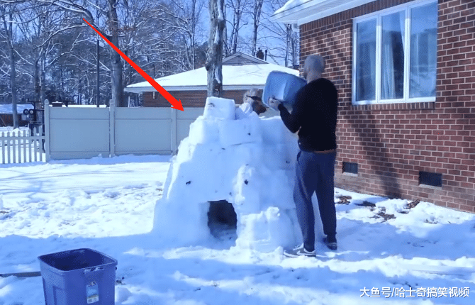男子做了个“冰屋”, 结果却被二哈霸占了: 这是我的新房