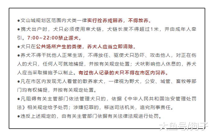 史上最严遛狗令出炉, 其实狗不难管, 难管的是背后的人!