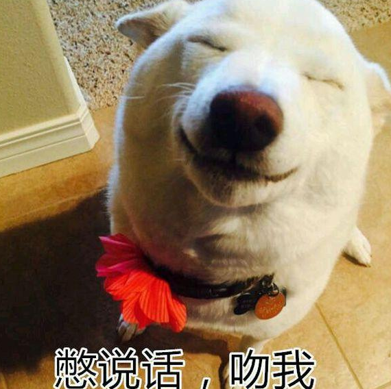 狗狗舔主人、舔自己、舔地板或者舔尿尿，都有不同的含义噢！