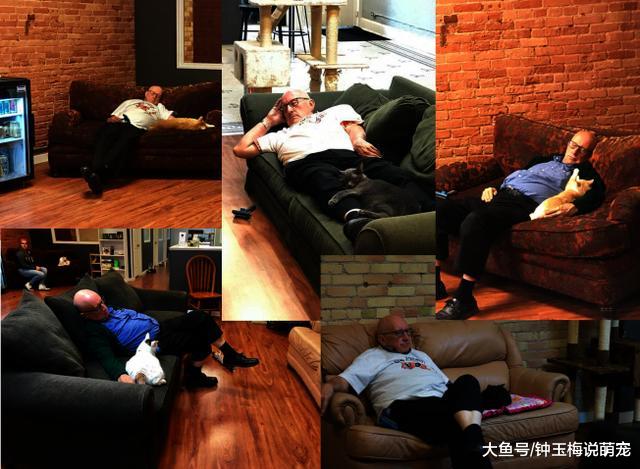 老美国退休教师抱着猫打瞌睡，一觉醒来竟成网红，还上了BBC新闻