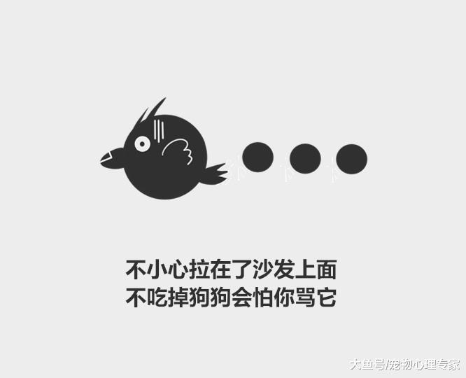 分分钟了解宠物知识——为什么狗会吃粑粑