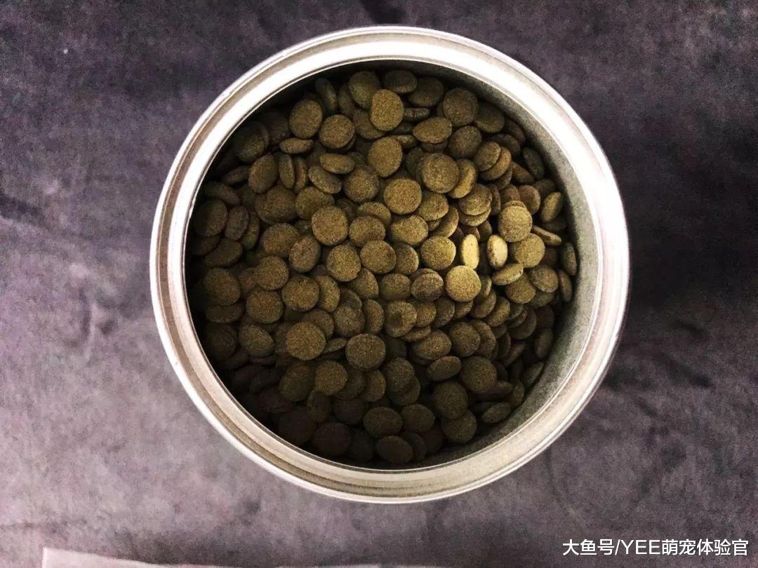 私人定制观赏鱼粮，营养充沛但少了它