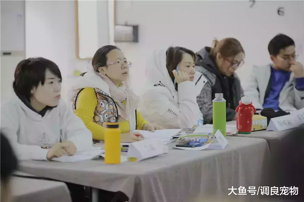 82期《调良宠物行为与正向训练专业培训班》开课了!