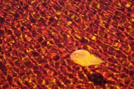 全球最危险的3个泳池，最后一个谁敢去？网友：简直用生命在游泳