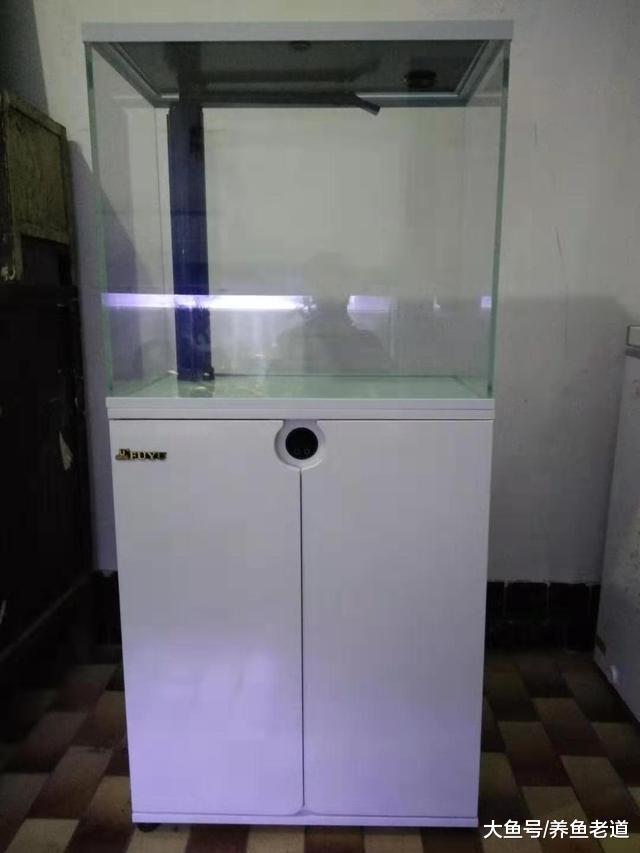 在观赏鱼入缸之前，我们把鱼缸水体的细菌全部杀死，是对还是错？