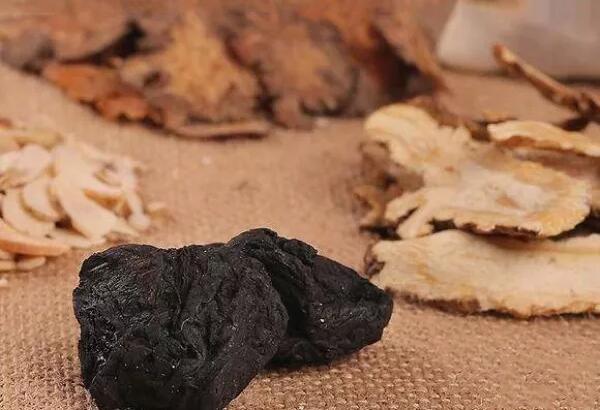 【 脂溢性脱发、油脂性脱发】你的体质决定你的发量? 中医食疗帮你对症防脱方