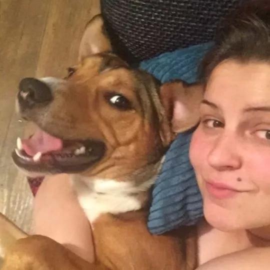 这5只宠物狗都上过报纸，堪称破坏之王，主人都以为家中遭贼