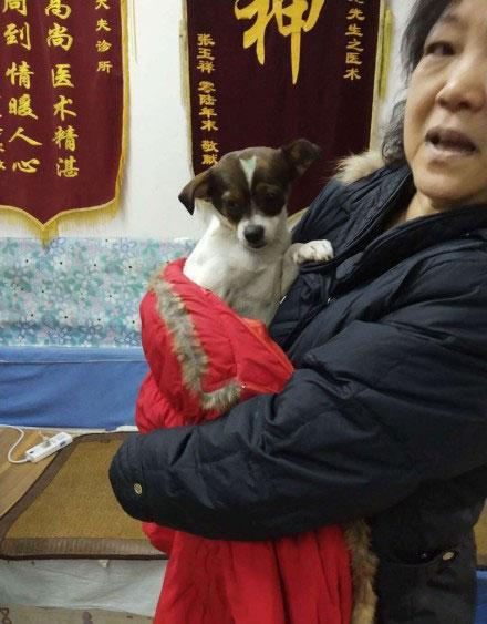 阿姨捡到流浪狗带回家, 老伴强烈反对, 一天后小家伙又流落街头