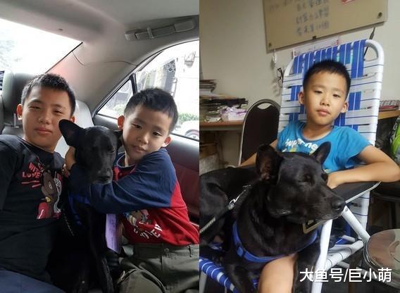 小主人介绍狗狗，使用方法竟然有“暖床”，价格“无价”是真爱了