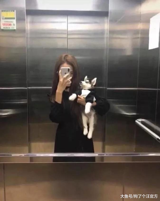 家里同病相怜，都上不去沙发的难兄难弟