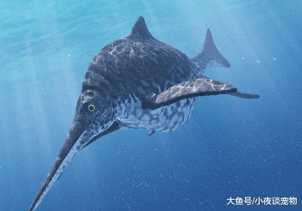 远古海洋十大霸主，远古海洋第一霸主实至名归