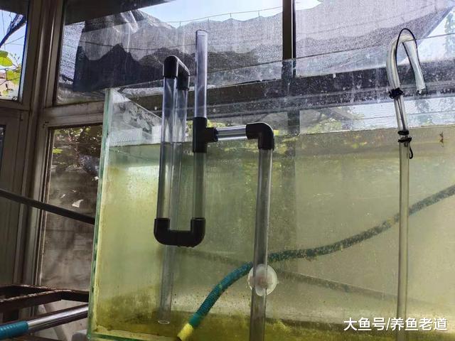 鱼缸上滤改底滤就这么简单？是的，即使不用钻眼其实也很简单