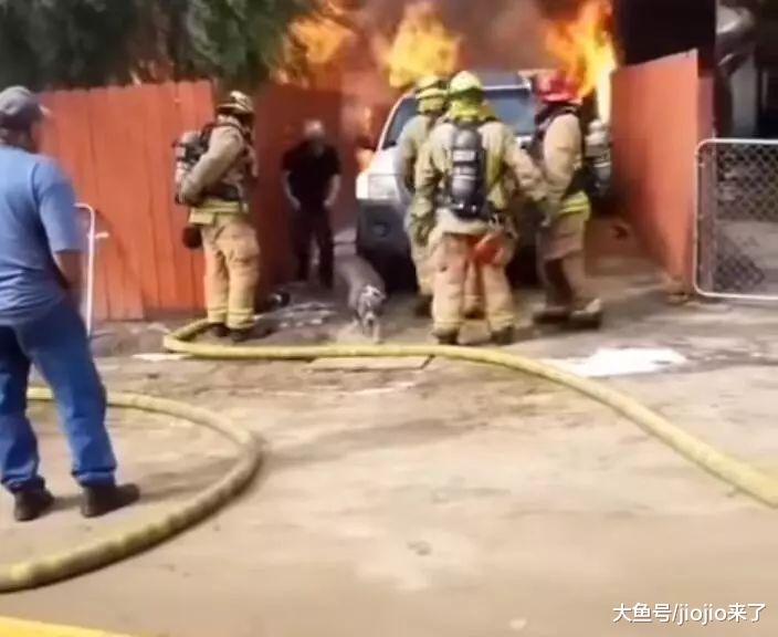 他不顾危险冲入火海，拼死也要将“家人”救出让在场的人都泪目