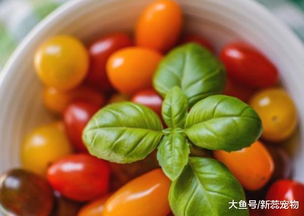 最会宠老婆的三生肖男，成熟稳重才华横溢，对老婆十分慷慨