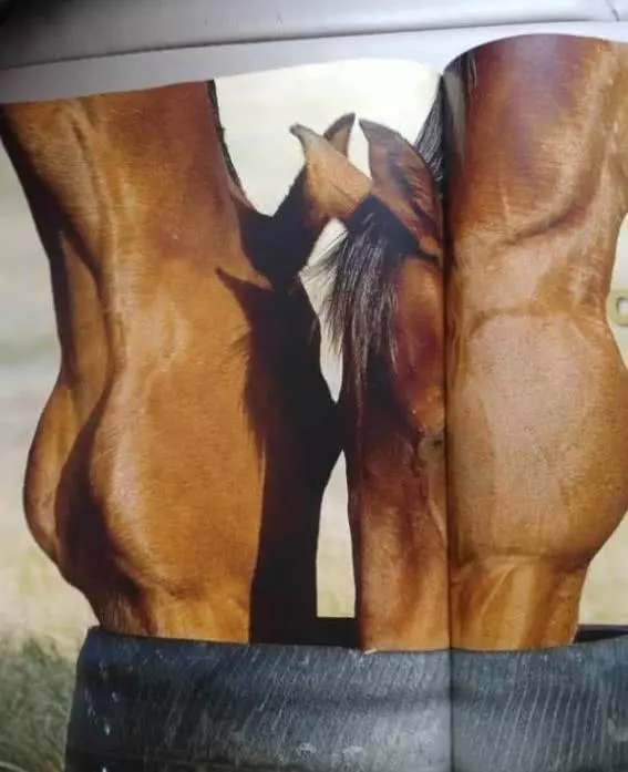 这些图片挺正常的, 看错了, 说明想象力又丰富了