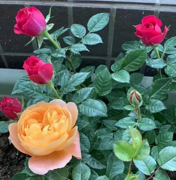 人生，只有今生，没有来世。好好珍惜今生。不要留下遗憾