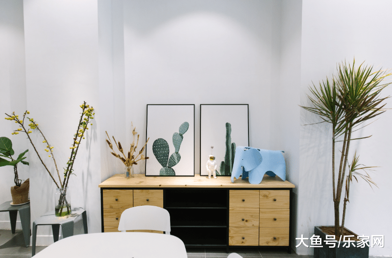 这5种花去除甲醛最快，装修结束一定要放，可以快速入住！