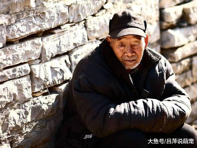 70岁老翁娶25岁美女，一只狐狸从房间跑出后新娘失踪，真相惊人