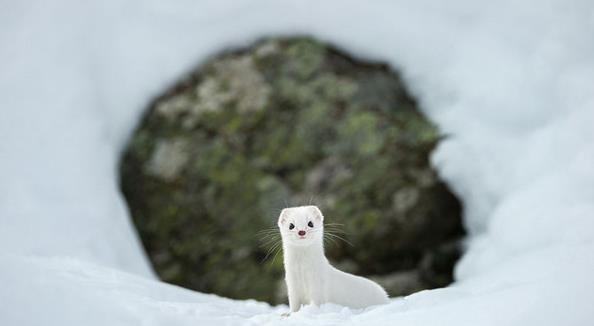 摄影技巧之如何拍出高清晰锐利的图片，掌握这7点你也可以拍大片