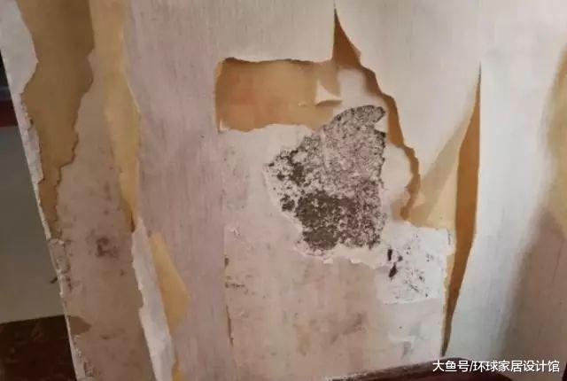 95后女子爆改40㎡出租房，房东：可以认你做干女儿吗？