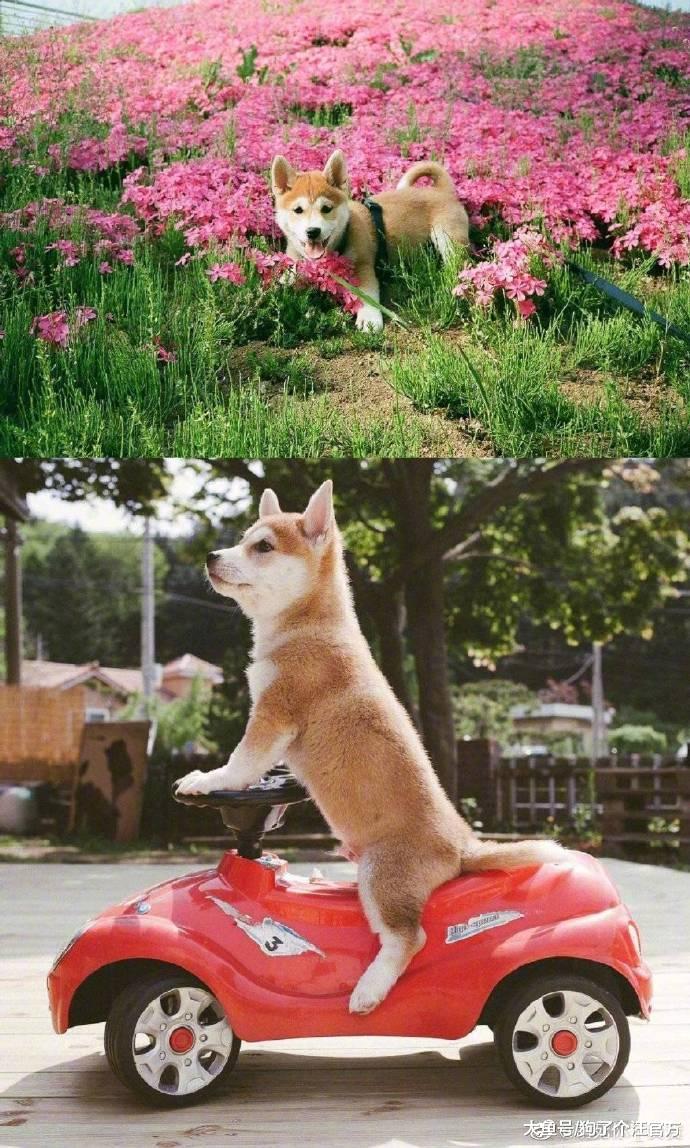 据说，爱一个人的眼神是藏不住的