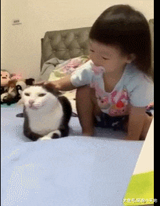 女儿与猫咪大打出手后挂彩！爸爸问谁乖，小奴才心虚低头