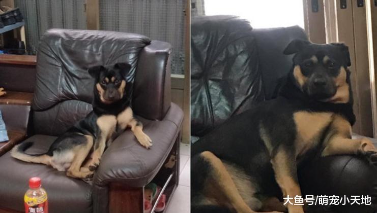 奶奶家住一年变肥汪！骨架、脸蛋横向成长让人暴动：还我小鲜肉