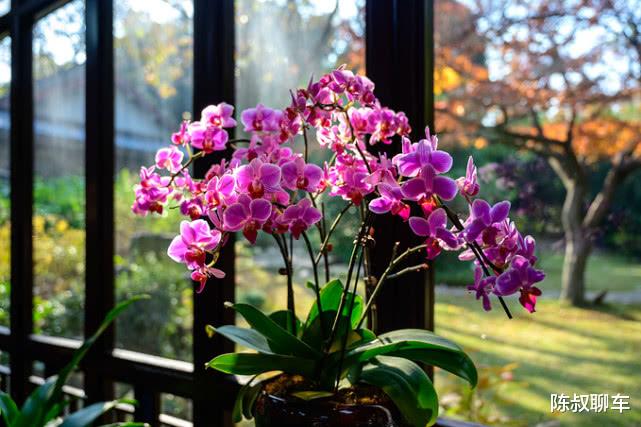 福建“最难混”的两座城市，工资3千房价4万，网友：房子都租不起