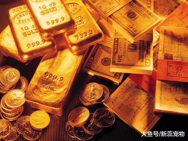 9月份好运如虹，好运接踵而至，生活顺心如意的三个生肖