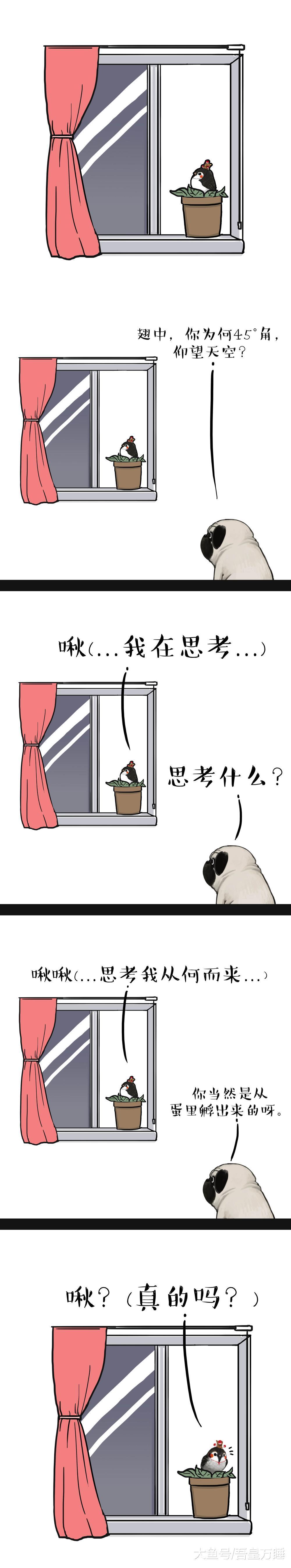 一颗蛋, 由内打破是生命, 由外打破是...狗欠揍了
