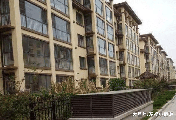 买房子一定要注意这几样细节，不然你钱就花怨了