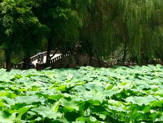 【阿狸地产说】重庆记忆——大渡口区, 你童年的样子, 都在这里!