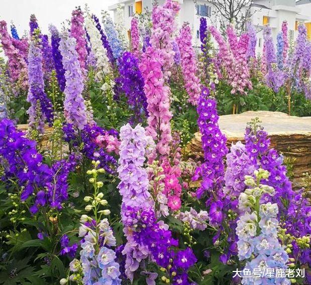 未来一个月，横财躲不掉，喜上加喜，子顺孝顺，苦日子熬出头