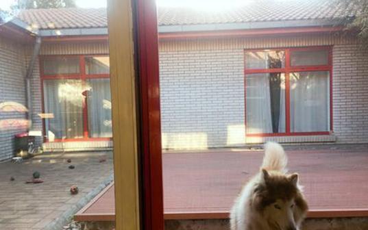 参观张若昀住的豪宅，四合院的外观霸气设计，房子价值过亿