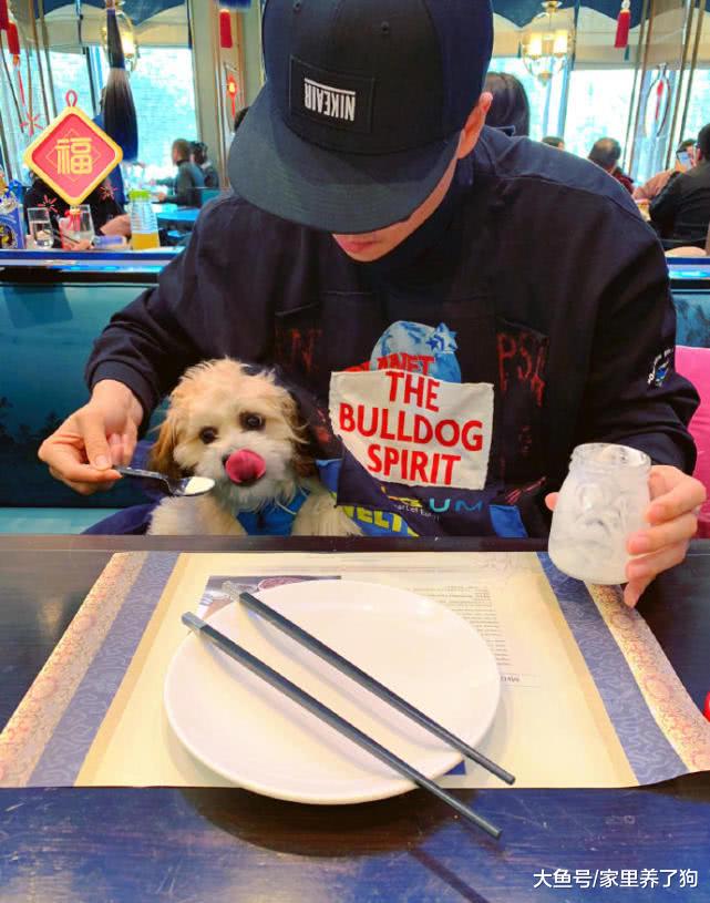 看了别人喂狗后，才知道自己的狗有多贪吃