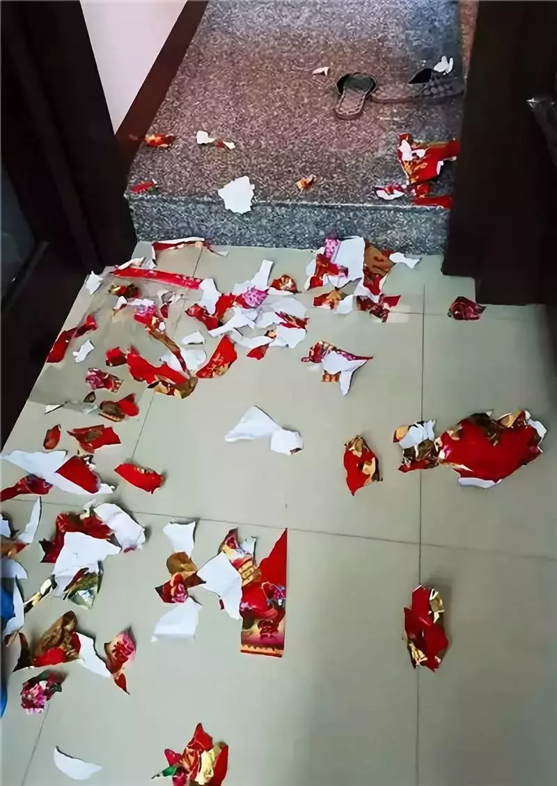 如何讓狗子知錯就改，墻都不服就服這主人的做法！