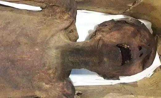 神秘木乃伊被发现时正发出“尖叫”，他的生前是否遭遇痛苦？