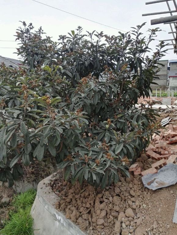 挑战物价，90后25万建3层别墅！
