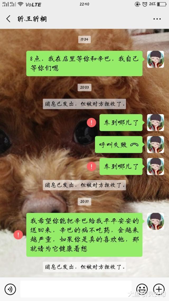 大连一女孩到宠物店应聘，一小时不到偷走钱和猫!