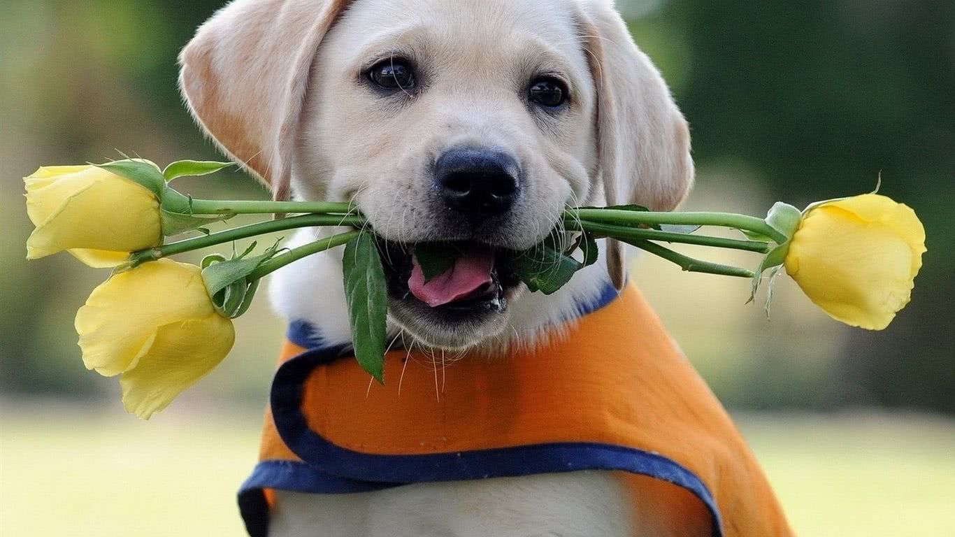 在苍茫的宇宙中，有一种人，无论有多少伪装，我们都能一眼认出