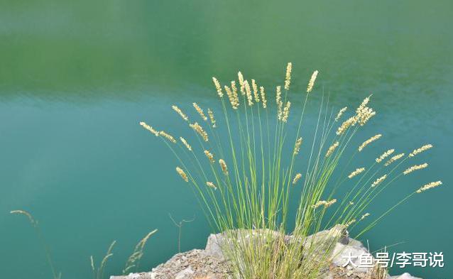 这四种人活得最累，你是哪一种？都看看！