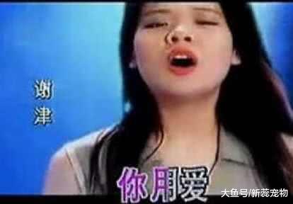 她当年与田震齐名！因当众打人星途尽毁！如今身患抑郁症