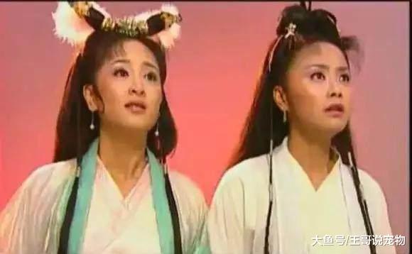 当年惊艳众人的碧游仙子，露脸《扶摇》，网友直呼不相信！