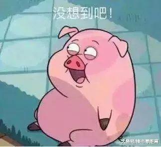 新裝修的主城雙學區房只賣163萬，家中變故房主降價急售，手慢無！