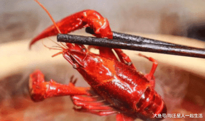 比小龙虾还“丢脸”的入侵物种，因太好吃被吃到濒临灭绝，只能人工养殖！